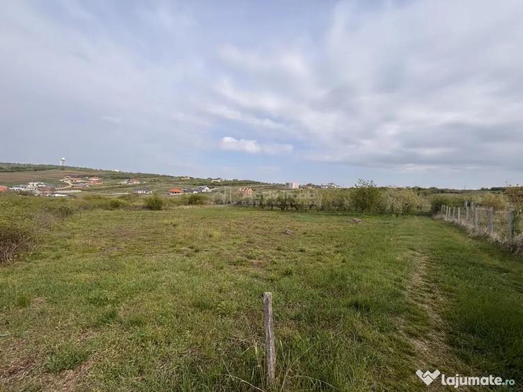 Teren în Paleu
