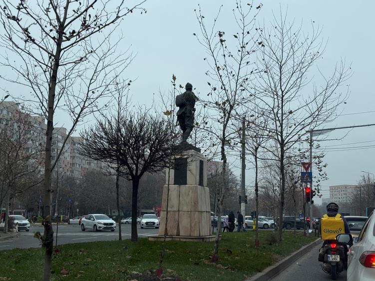 Teren Construcții extravilan de 5000 mp, în Nicolae Grigorescu