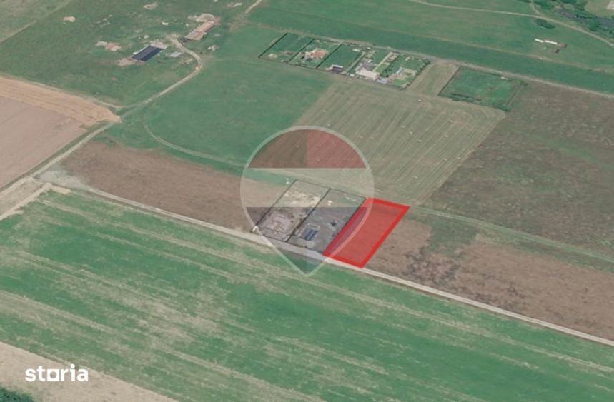 Teren de 1000 mp, în Pănicel