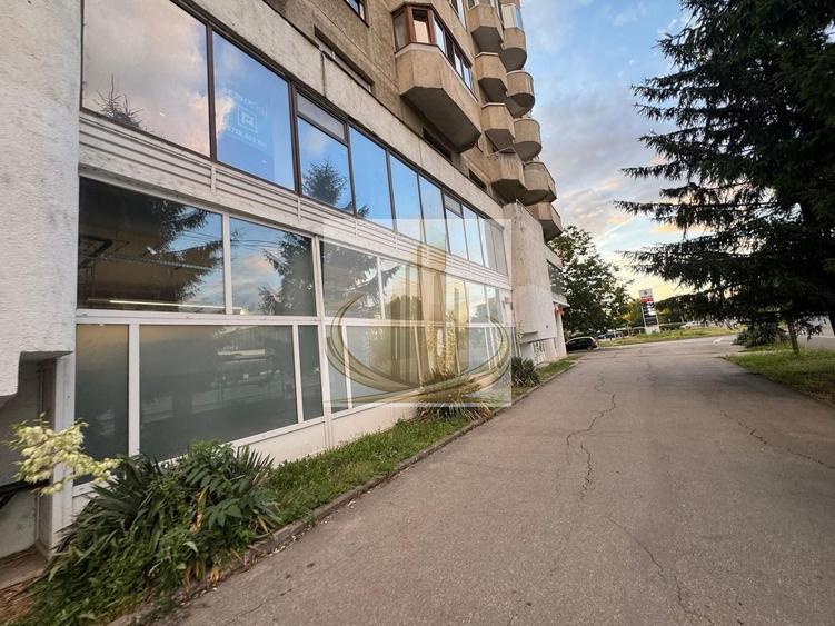 Spațiu comercial, de 760 mp, în Aradului