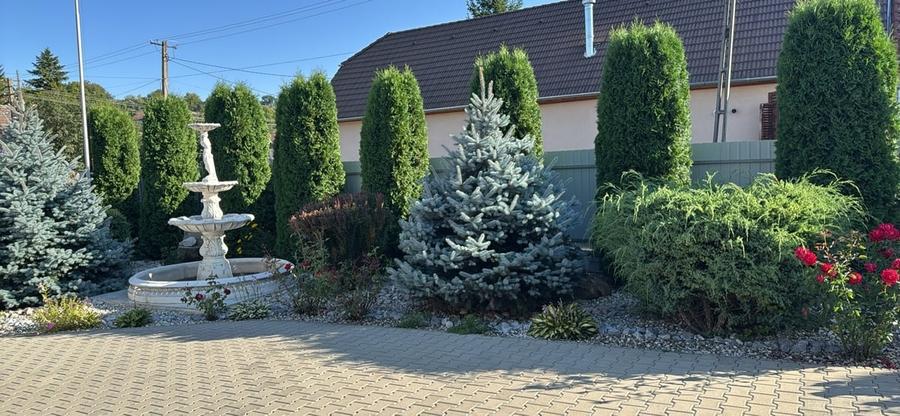 Casă cu 5 camere cu Teren 1500 Mp în Central