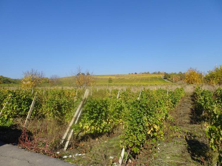 Teren de 2600 mp, în Drăgășani