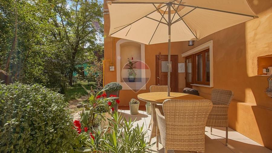 2 CAMERE NOU RENOVAT | TERASA SI GRADINA, PIVNITA | CENTRUL ISTORIC - 19