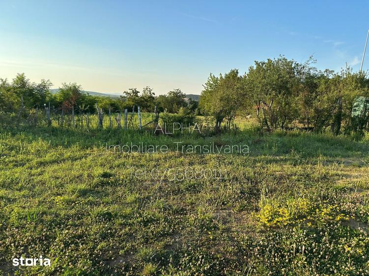 Teren extravilan in Zalau,zona Noghei - 1