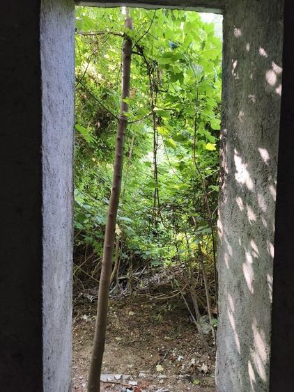 Casă cu 4 camere în Centrul Istoric