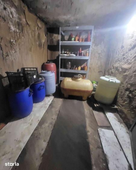 Casă cu 5 camere cu Teren 1200 Mp în Sohodol