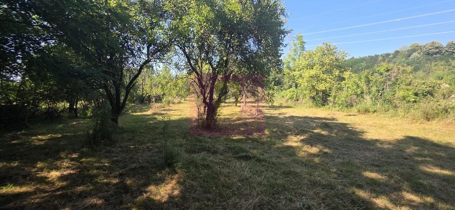 Teren intravilan de vanzare 3375 mp in Brebu - 5