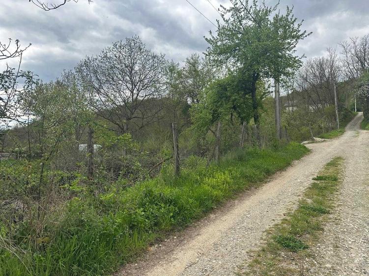 Casă cu 4 camere în Hotarele