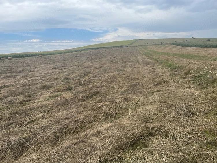 Teren de 2900 mp, în Gilău