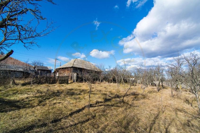 Casă individuală cu 3 camere cu Teren 4145 Mp în Vedea