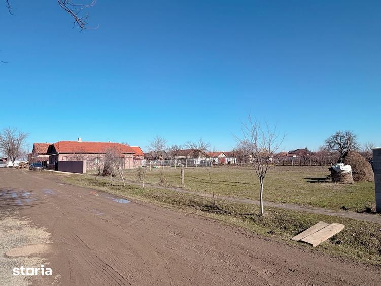 Teren de 759 mp, în Șofronea