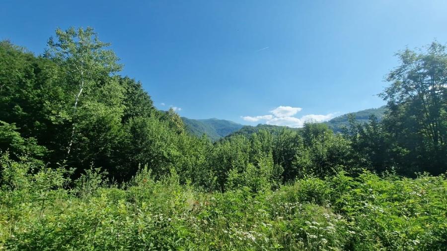 Teren Construcții intravilan de 831 mp, în Pietroasa