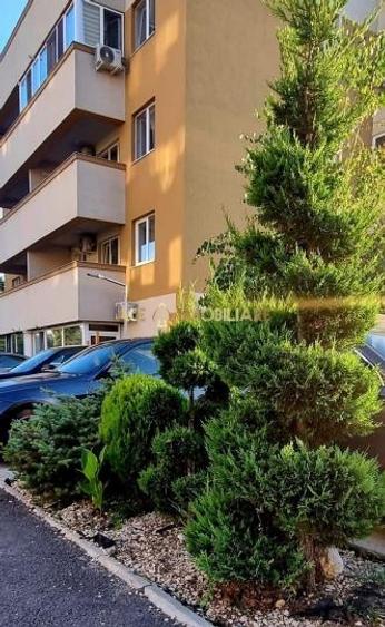 2 Camere de inchiriat | Rahova | Centrala | Parcare | Prima inchiriere | - 9