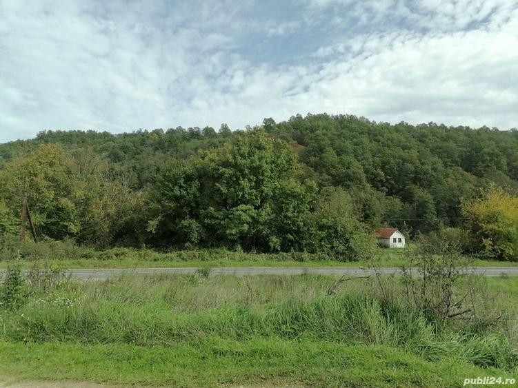 Teren de 30000 mp, în Central