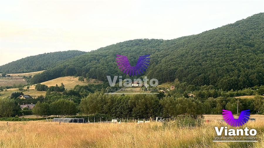 Teren agricol extravilan de 3408 mp, în Gura Râului