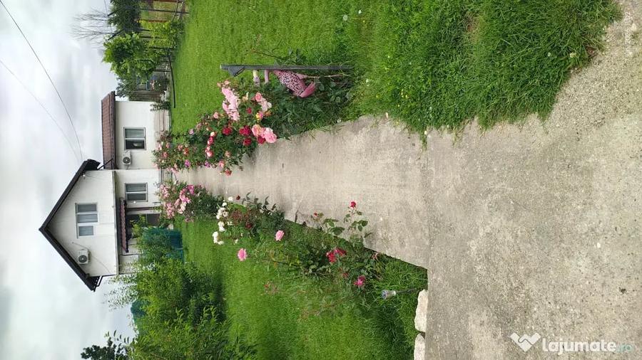 Casă cu 4 camere cu Teren 858 Mp în Mânăstioara
