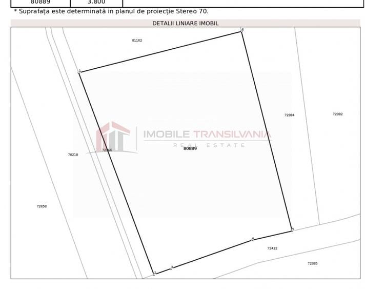 Teren Construcții intravilan de 3800 mp, în Pădureni (Chinteni)