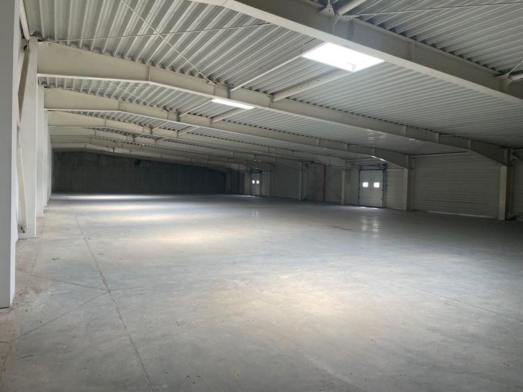 Spațiu industrial, de 4,600 mp, în Sânandrei