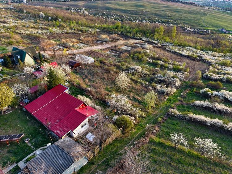 Teren Construcții intravilan de 900 mp, în Vișani