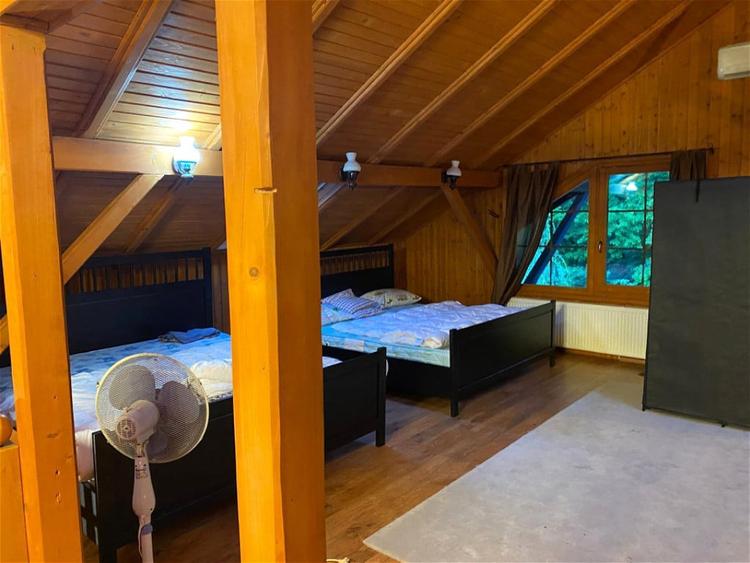 Casă cu 5 camere cu Teren 3000 Mp în Făget