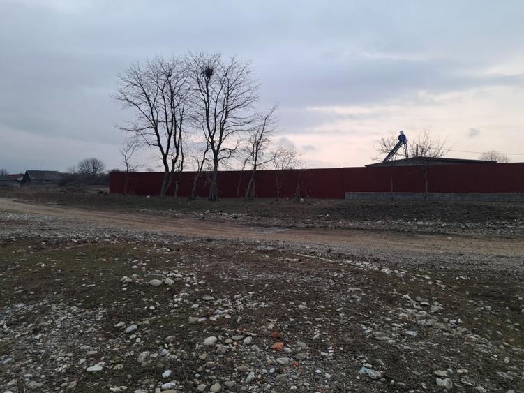 Teren Construcții intravilan de 1450 mp, în Tărlungeni