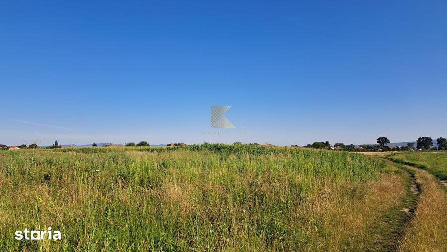 Teren de 20000 mp, în Bod