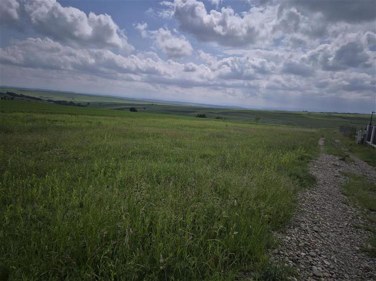 Teren agricol extravilan de 800 mp, în Moara Nica