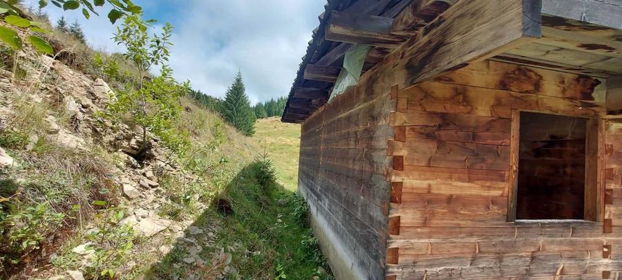 Casă cu 4 camere în Horea