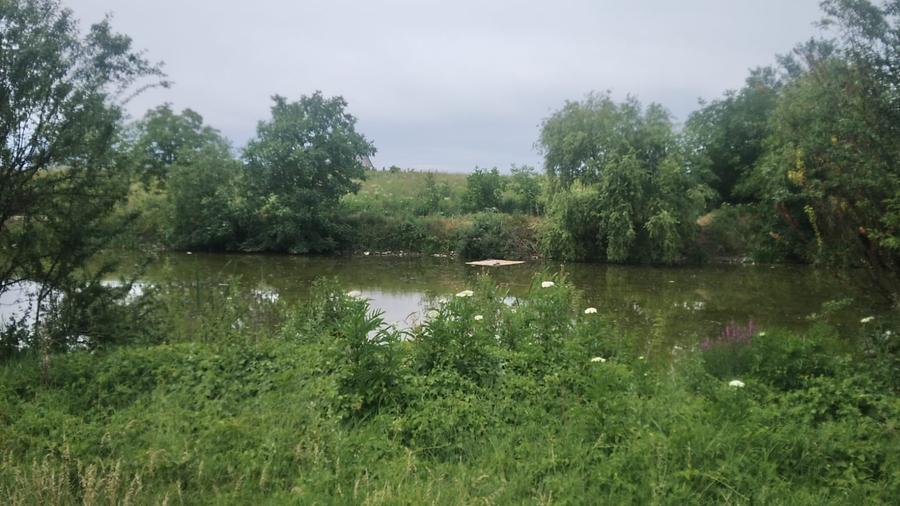 Teren intravilan de 5300 mp, în Berceni