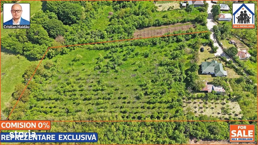 Casa renovata 141mp + Teren 10.000mp | Podenii Vechi - PH - 15