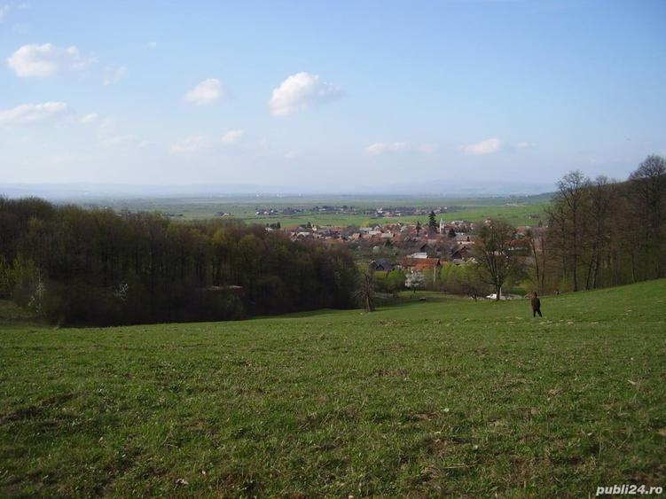 Teren de 4041 mp, în Dobârlău