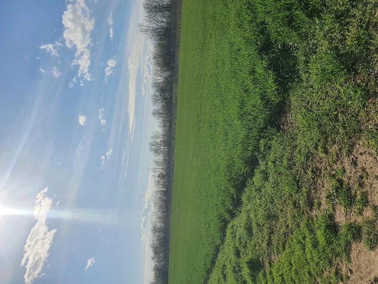 Teren de 5500 mp, în Balta Doamnei