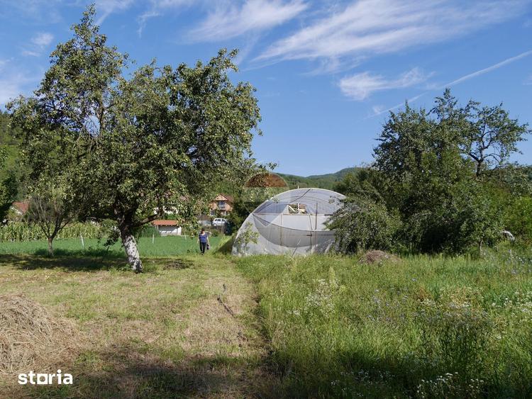 Casă cu 2 camere cu Teren 3003 Mp în Vințu de Jos