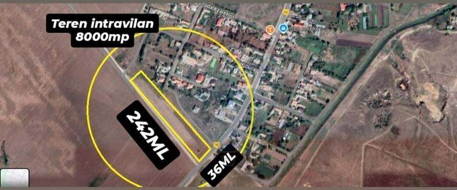 Teren Construcții intravilan de 8000 mp, în Castelu