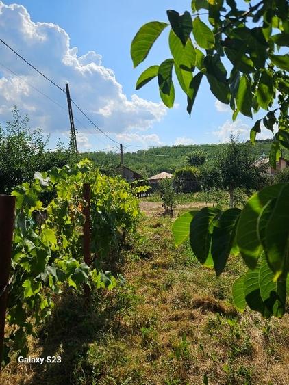 Casă individuală cu 2 camere cu Teren 1039 Mp în Bărăști (Colonești)