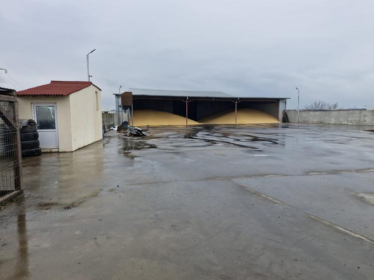 Proprietate specială, de 1,230 mp, în Lumina