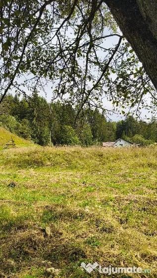 Teren de 4080 mp, în Valea Doftanei