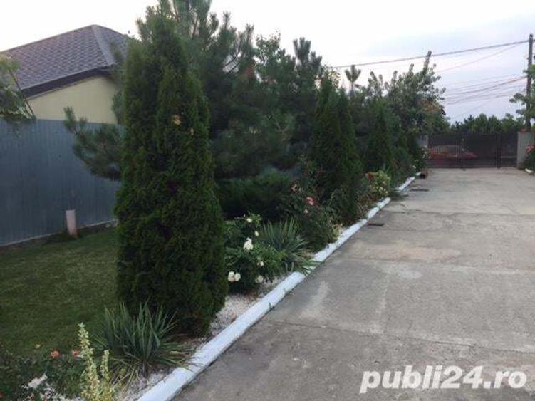 Teren de 1000 mp, în Glina