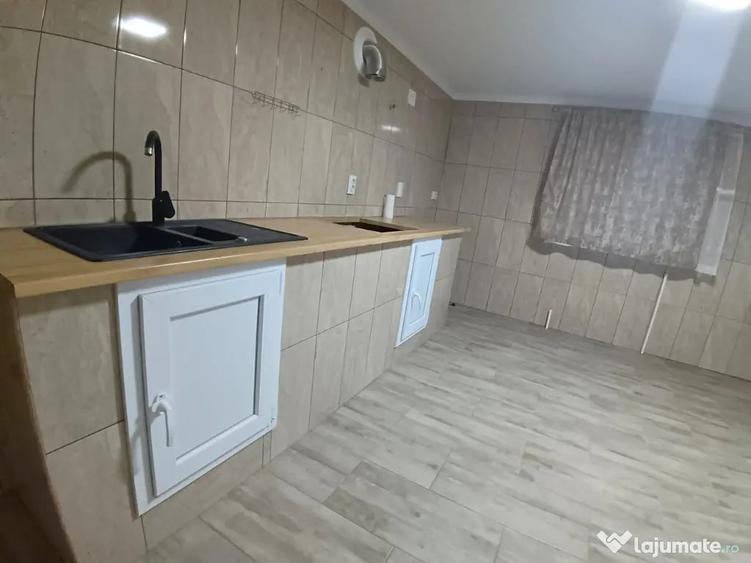 Casă cu 2 camere cu Teren 1290 Mp în Mitocu Dragomirnei