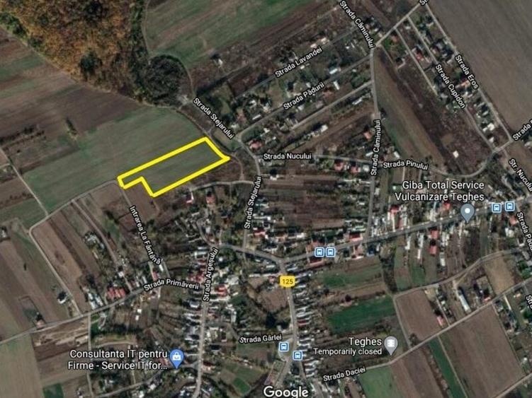 Teren agricol intravilan de 10000 mp, în Țegheș
