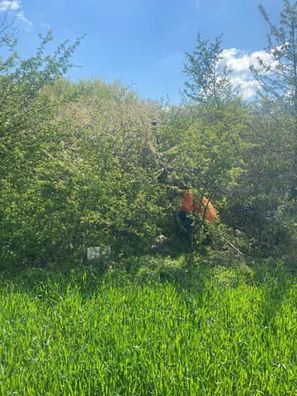 Teren Construcții intravilan de 5808 mp, în Săbăreni