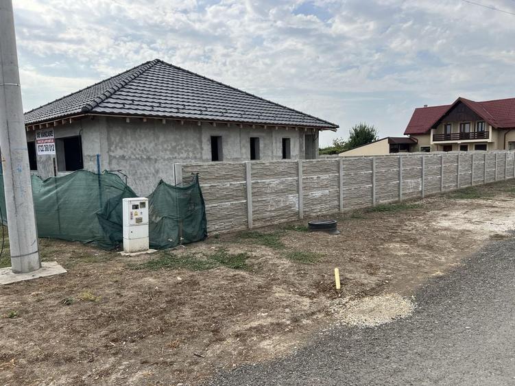 Peciu Nou Casa individuala pe parter, teren 950 mp, racordata la apa, gaz si curent - 6