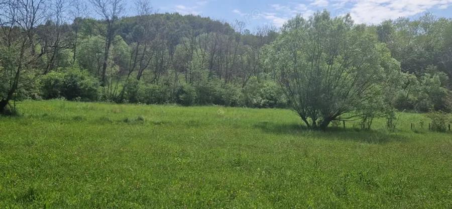 Teren de 2800 mp, în Central