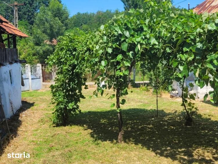 Casă cu 3 camere cu Teren 1900 Mp în Fârtățești