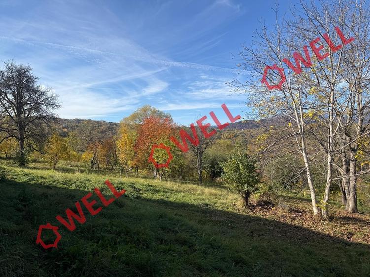 Casă individuală cu 2 camere cu Teren 4831 Mp în Sohodol