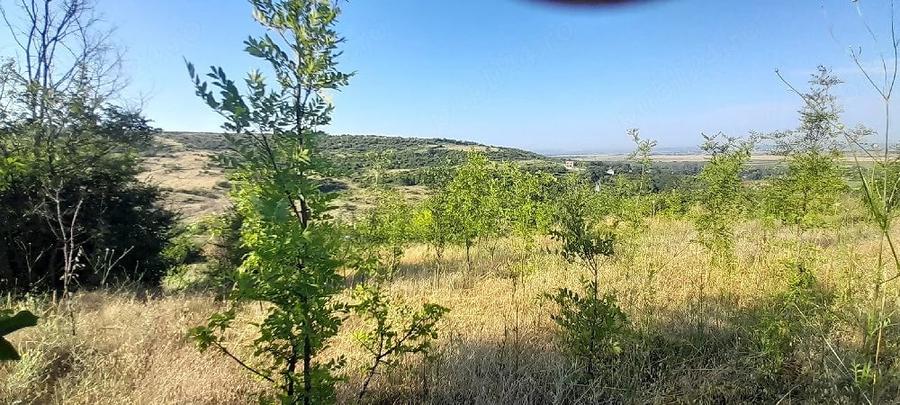 Teren de 1400 mp, în Șimnicu de Sus