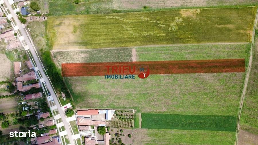 Teren de 2900 mp, în Obreja