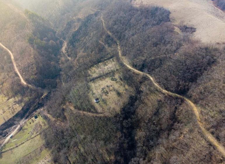 Teren de 8900 mp, în Laz (Săsciori)