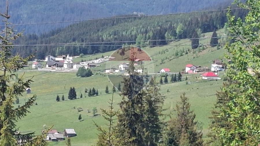 Casă individuală cu 5 camere cu Teren 3641 Mp în Mestecăniș