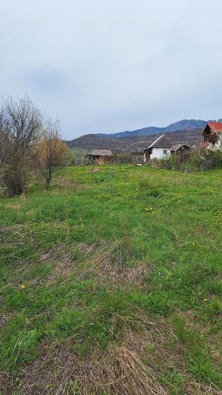 Vand Teren intravilan Com Salatrucel - 5